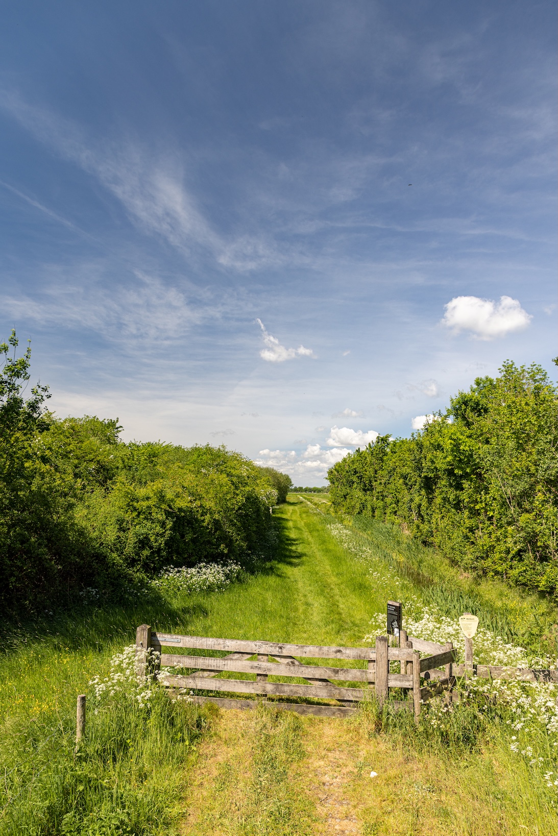 Bommelerwaardse fruitroute