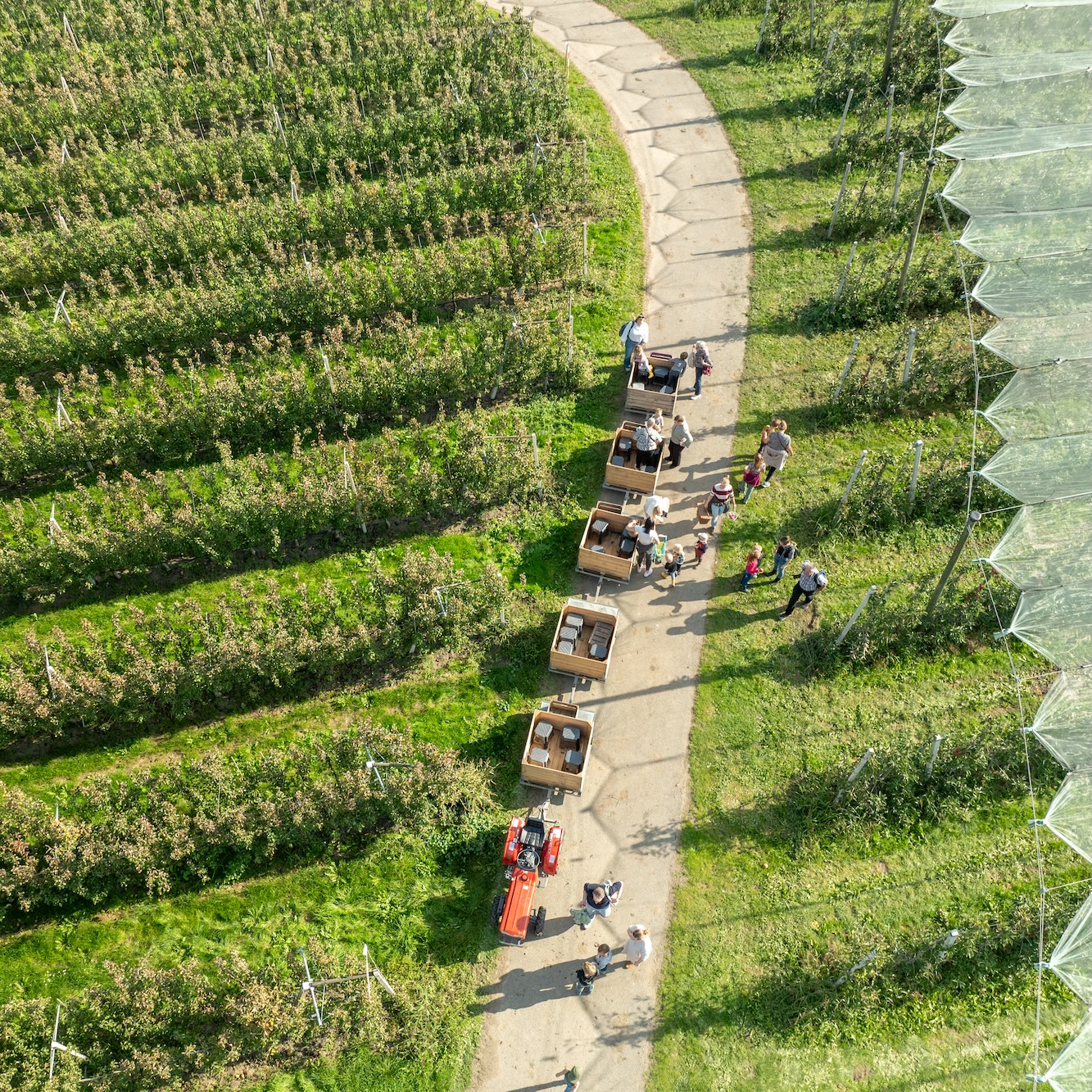 Streekroute langs de Linge