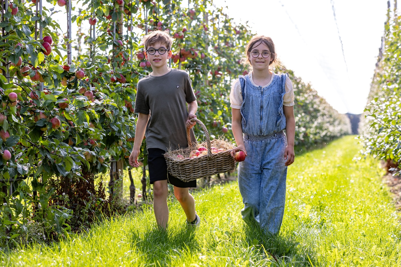 Streekroute langs laan- en fruitbomen