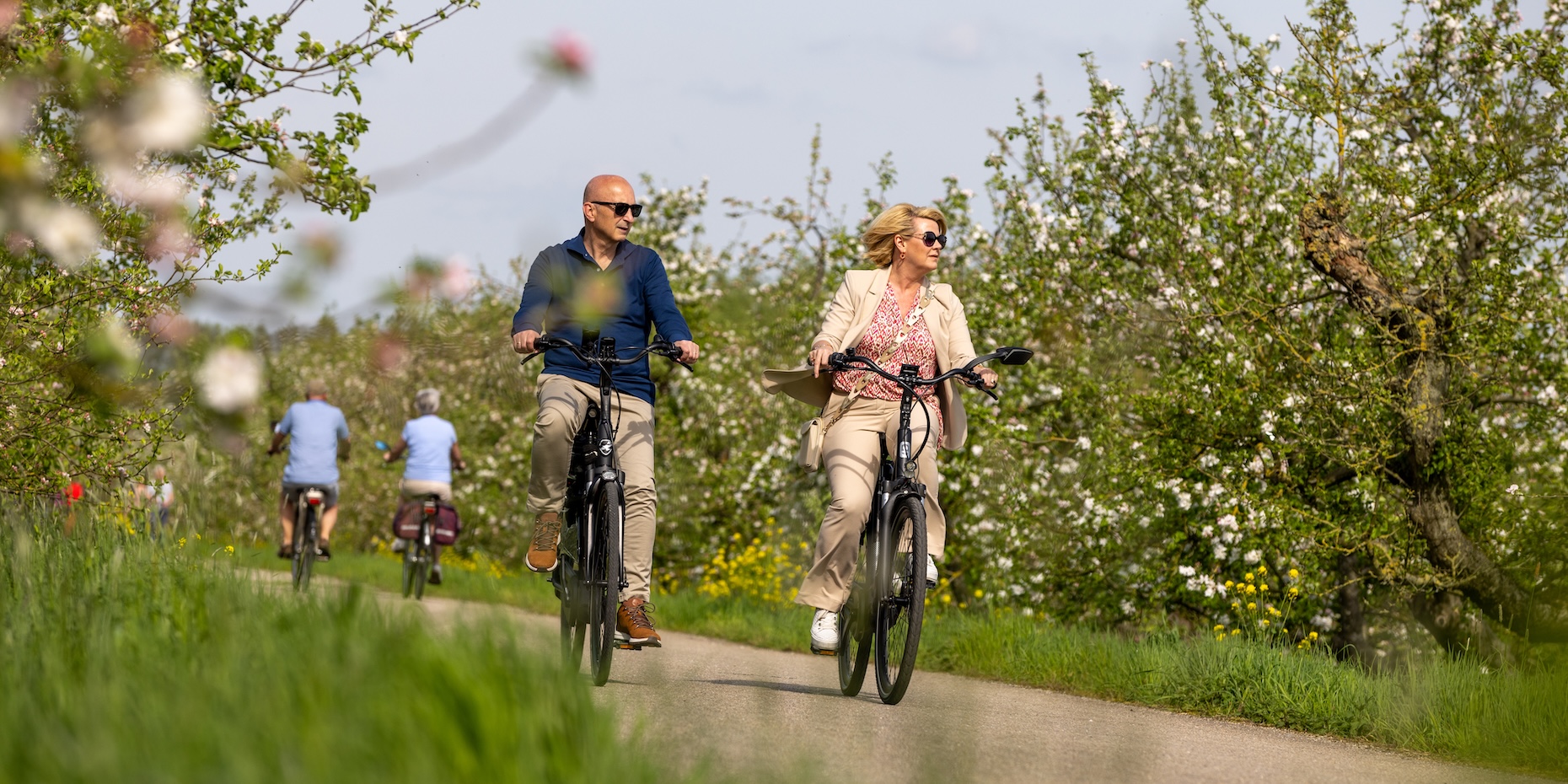 Streekroute langs laan- en fruitbomen