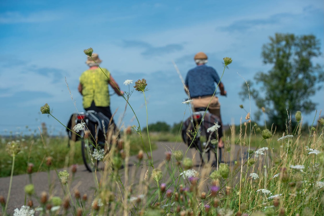 Maas & Waalse Streekroute